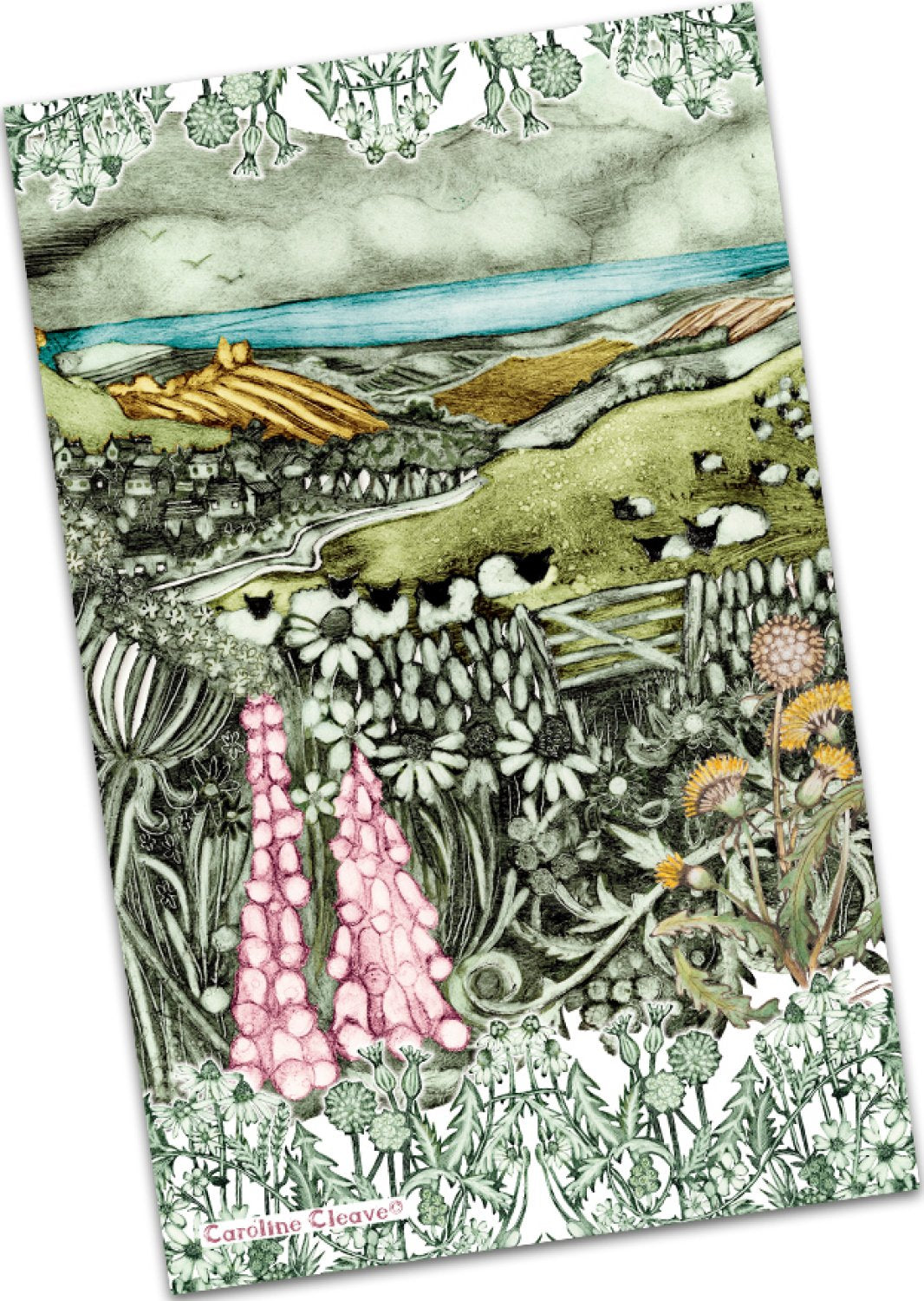 Emma Ball "Caroline Cleave Countrylife", Pure cotton tea towel. Printed in the UK.